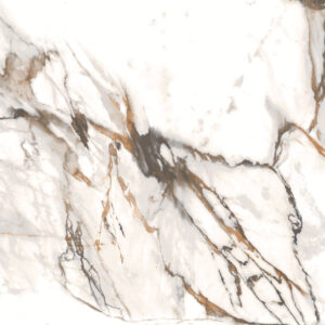 Calacatta Paonazzo (High Gloss) 60X120 1.44