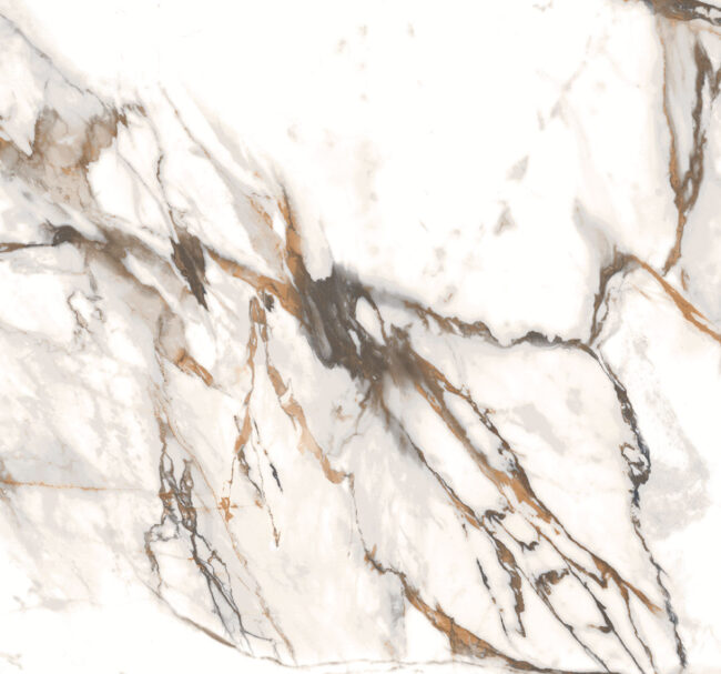 Calacatta Paonazzo (High Gloss) 60X120 1.44