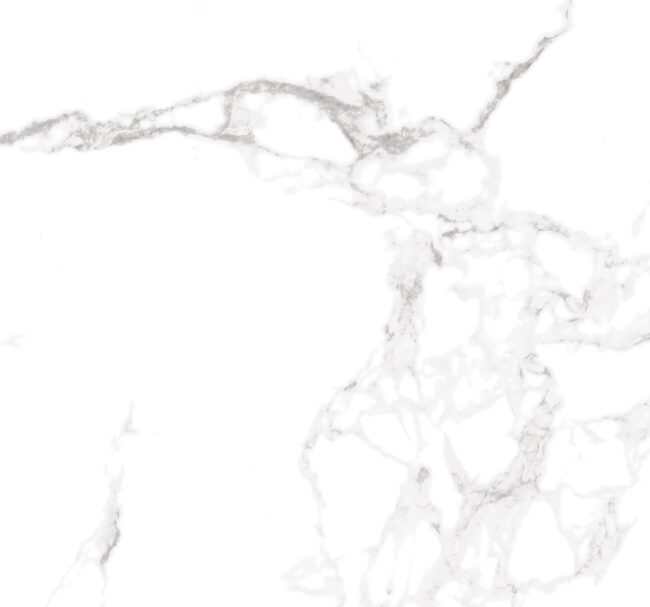 FIORE WHITE 60X120